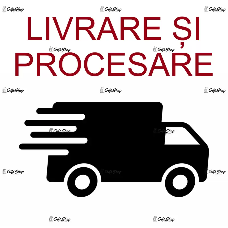 Servicii manipulare si transport colet 19